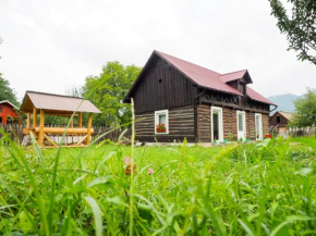 Wild-Traditional Bucovina